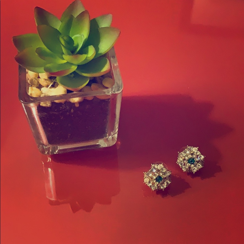 Swarovski Crystal Earrings